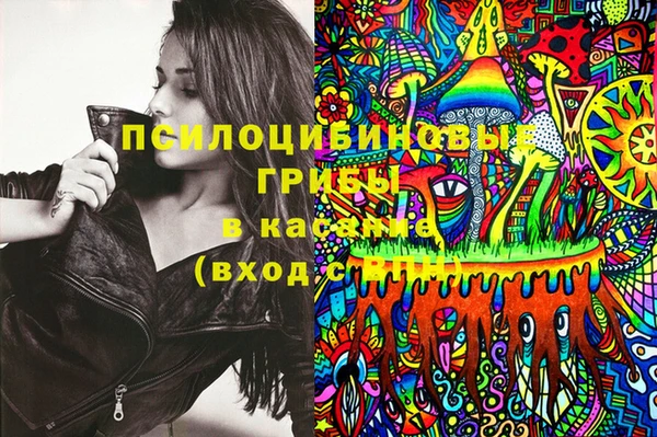 ГАЛЛЮЦИНОГЕННЫЕ ГРИБЫ Баксан