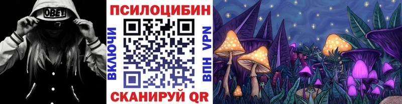 Галлюциногенные грибы прущие грибы  закладка  Губаха 