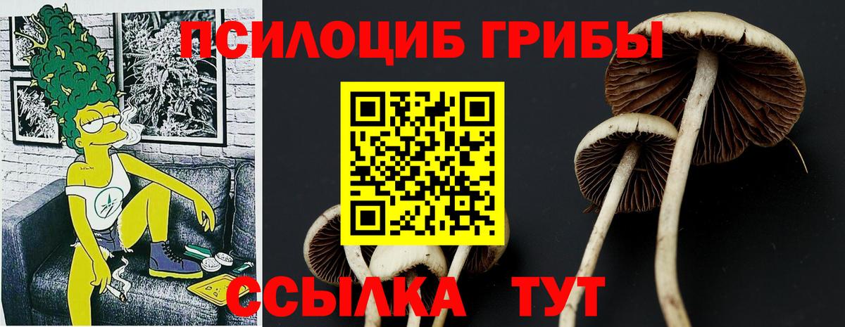 купить   Галлюциногенные грибы MAGIC MUSHROOMS  Вход с VPN  Галлюциногенные грибы Psilocybe  Губаха 