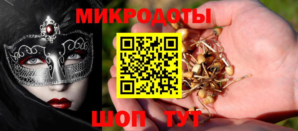 Галлюциногенные грибы Cubensis Губаха